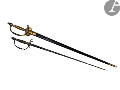 Two swords: - Court sword XVIIIth century....