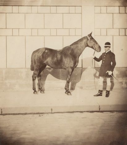  Eugène Disdéri (1819-1889 )Alma, horse ridden by H. A. I. Monseigneur le Prince...