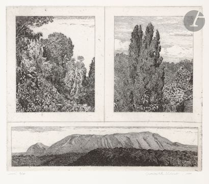 null Jean-Baptiste Sécheret (born in 1957) 
The Acacia Wood; Poplars at the Tréchaudière;...