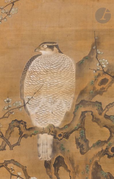 null *Peinture sur soie représentant un rapace, Japon, fin de l’époque Edo
Encre...