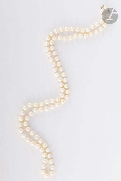 null Long collier de perles de culture, fermoir en or dans une perle. Longueur :...