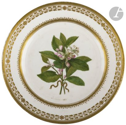  Sèvres Assiette en porcelaine à décor polychrome au centre de fleurs de citronnier...
