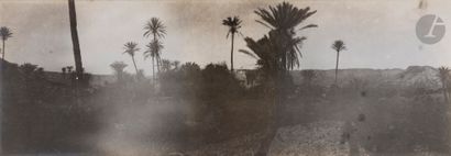 null Unidentified photographerMorocco
, c. 1909-1910
. Palm trees. Armed riders....