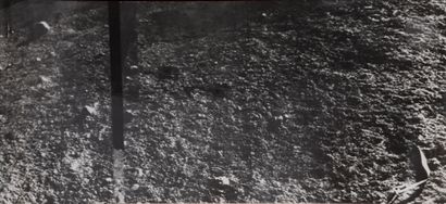 null Luna 9 ProbePhotograph of
the lunar surface taken by the Luna 9 probe, February...