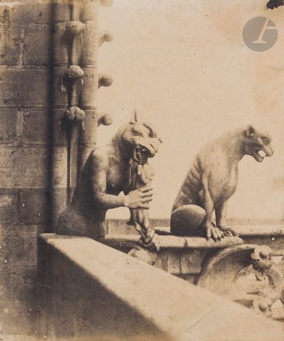 null Photographe non identifié
Notre-Dame de Paris, c. 1850-1855.
Chimères (Féliniformes)....