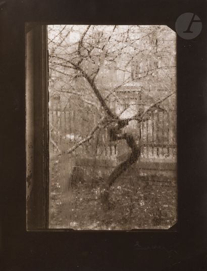 null Josef Sudek (1896-1976) 
The Window of My Studio, c. 1944-1954.
Silver print...