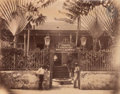 null Gaston Emerigon Fabre and othersMartinique
. Guadeloupe, c. 1880.
pier of the...