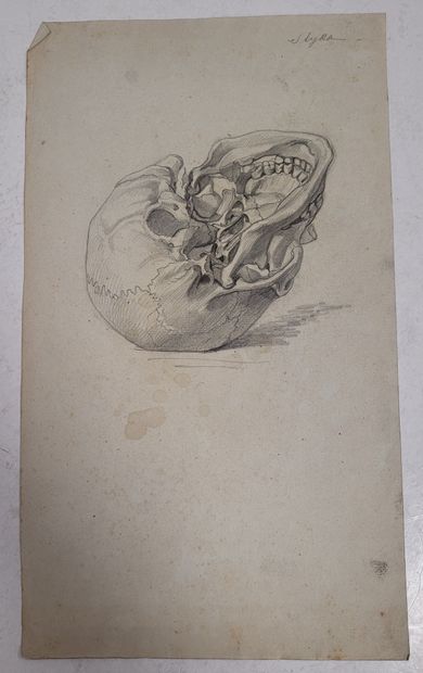 null Jan STYKA (1858-1925)
11 anatomical studies on paper
Lead pencil.
Signed (10),...