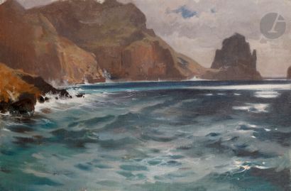 null Arthur CALAME (1843-1919)
Bord de mer
Huile sur toile montée sur carton.
Signée...