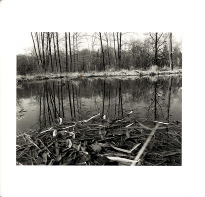 null GOSSAGE, John (né en 1946) [Signed]

The Pond.
New York, Aperture, 2010.

In-4...