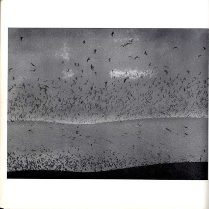 null GIACOMELLI, Mario (1925-2000)
3 ouvrages.

*Mario Giacomelli, 1955 – 1983.
Citta...