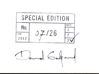 null GALJAARD, David (né en 1983) [Signed]

Congresco. 
Hollande, Autopublié, 2012.

In-4...
