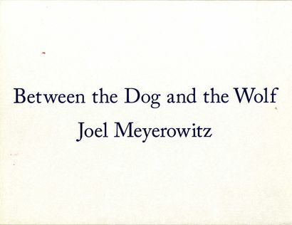 null MEYEROWITZ, Joel (né en 1938) [Signed]

Between the Dog and the Wolf. 
2013....