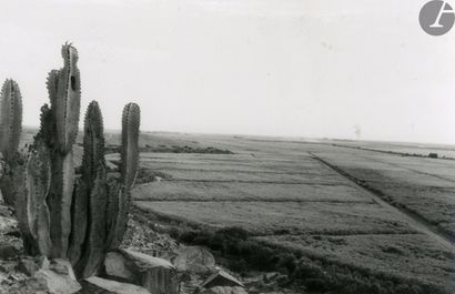 null Martin Chambi (1891-1973)
Pérou, c. 1940-1950.
Paysages andins. Plaines. Cactus....