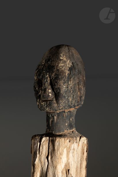 null Grande sculpture Botchio, le corps est constitué par le tronc curviligne en...