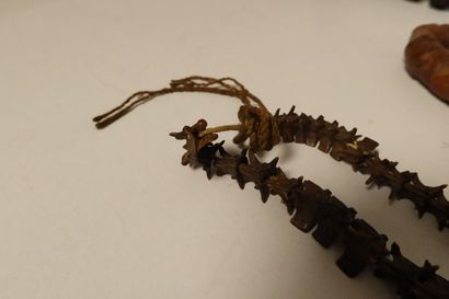 null Trois colliers, Népal et Nagaland, XXe siècle
- Collier de chaman en vertèbres...