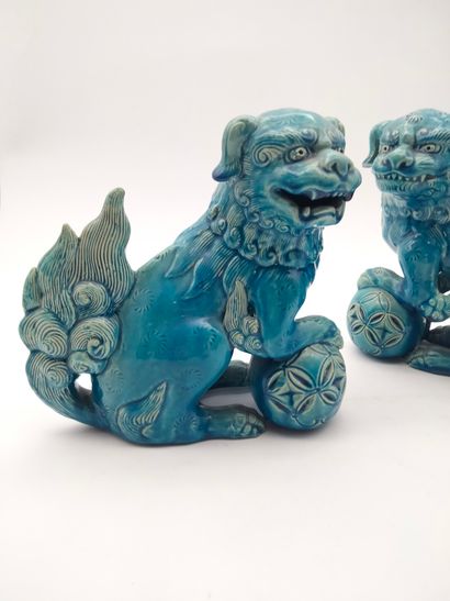 null Pair of blue enamelled porcelain Dogs of Fô, China, 20th century Height
: 19...