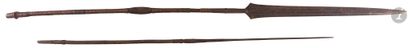 null Two African spears: {CR}- one with iron and brass covered handle. Long blade...