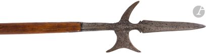  Halberd iron. {CR}Wrought iron, median-edged estoc point, crescent-shaped axe head...