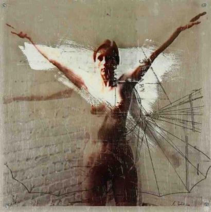 Ulrike Bolenz (né en 1958) Le vol d'Icare, 2008 Tirage photographique sur plexiglas...