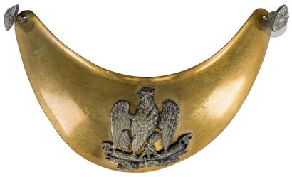 Officer's collar of the National Guard. In...