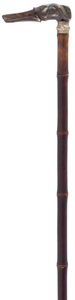 null Sword cane. 
 Handle carved with a dogfish head (traces of insects). Blade with...