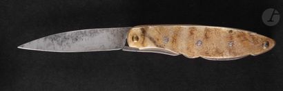 null Folding knife with blade lock, the handle in horn.

Marked " FLÈCHE ".

Length...