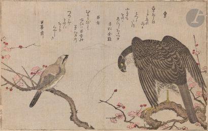 Kitagawa Utamaro (1753-1806), page tirée...