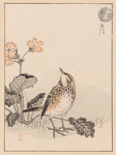 Kono Bairei (1844-1895), Japon, ca. 1881/1884
Estampe,...