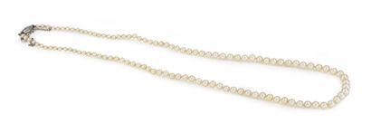 null Collier de perles peut-être fines en chute, fermoir en or gris 18K (750). Longueur...