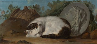 null 18th century FRENCH school, entourage of Jean Jacques BACHELIER
Sleeping cat...