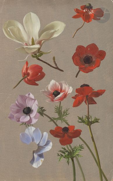 null 19th CENTURY FRENCH STUDY
OF Poppy Flowers and Magnolia 
Oil on paper prepared...