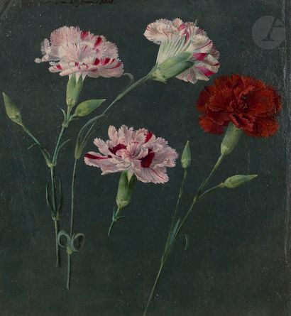 null FRENCH SCHOOL circa 1800Study of
Carnations 
Oil on paper prepared in gray....
