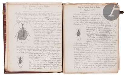 null [ENTOMOLOGY]. [ANONYMOUS].
Entomology. Method of Latreille. 
In French, manuscript...