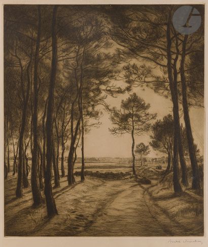 null André Dauchez (1870-1948) 

Chemin sous les pins. 1908. Eau-forte. 525 x 585...