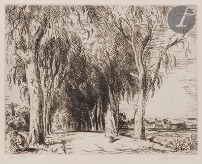 null Adolphe Beaufrère (1876-1960) 

The road lined with eucalyptus (Algeria). 1921....