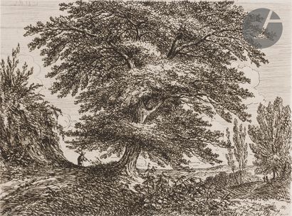  Balthazar-Jean Baron (1788-1869) 
Le Grand arbre incliné vers la droite. 1831. Eau-forte....
