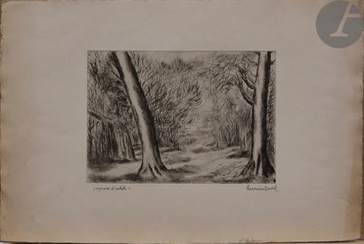 null Hermine David (1890-1970) 

Various subjects (Landscapes, Lioness and cub, Christ,...