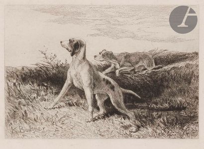null Karl Bodmer (1809-1893
)Animal subjects. A large lot. Etching. Various sizes....