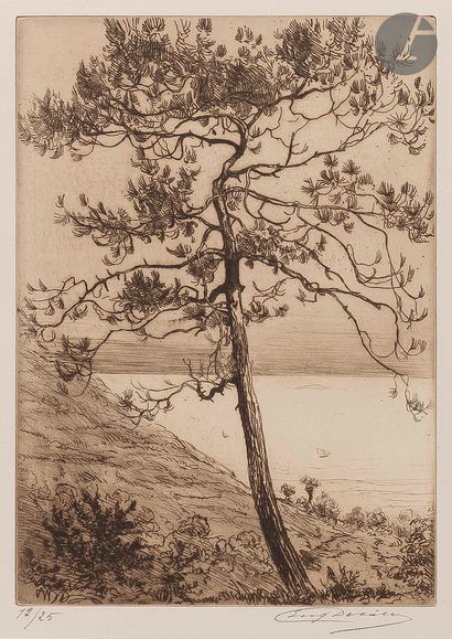 Eugène Delâtre (1864-1938)
Étude de pins...