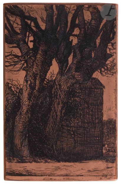 null Félix Bracquemond (1833-1914)
Les Deux Charmes, ou Deux gros troncs de charmes...