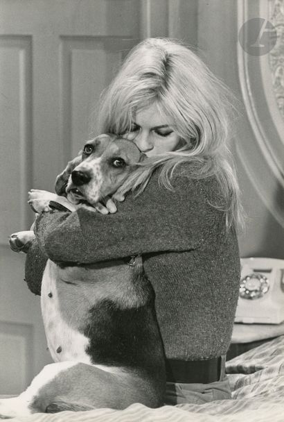null Monique Valentin 
Brigitte Bardot and her dog Prudence on the set of Serge Bourguignon's...