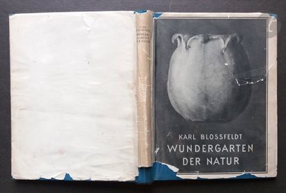 null BLOSSFELDT, KARL (1865-1932)
Wundergarten der Natur.
Verlag für Kunstwissenschaft,...