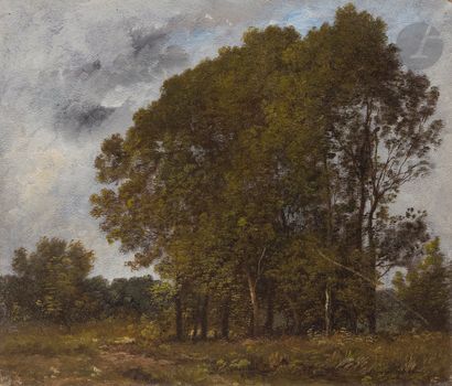 null Léon RICHET (1847-1907)
Paysage aux grands arbres
Huile sur papier contrecollé...