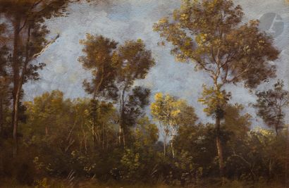 null Léon RICHET (1847-1907)
Les Grands arbres
Huile sur papier contrecollé sur toile.
Signée...