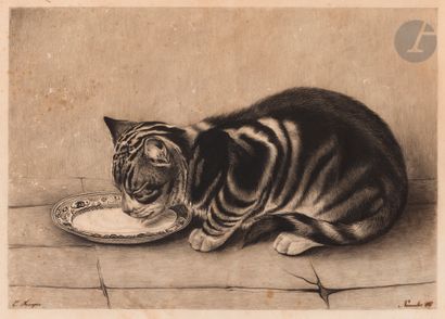 null E. FOUQUE (XIXe siècle)
Chat lapant, 1837
Crayon noir et estompe.
Signé en bas...