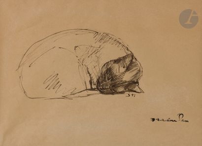 null Théophile Alexandre STEINLEN 
(Lausanne 1859 - Paris 1923)
Chat endormi
Encre.
Monogrammée.
Timbrée...
