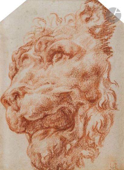 null 17th century FLEMISH SCHOOL, entourage of Rubens
Lion's head turned to the left
Sanguine.
Annotated...