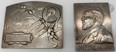 null [HENRI DE ROTHSCHILD - MÉDECIN]
AUGUSTE MAILLARD (1854-1944)
2 plaques : 
-...
