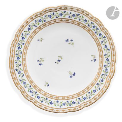 PARIS
Plate with contoured edge in hard porcelain...